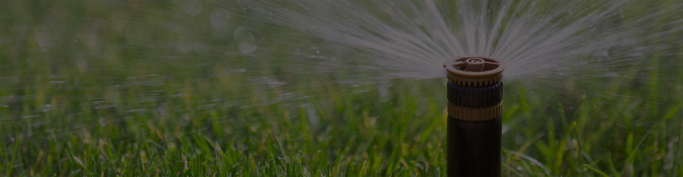 about-banner-image